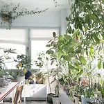 Green House