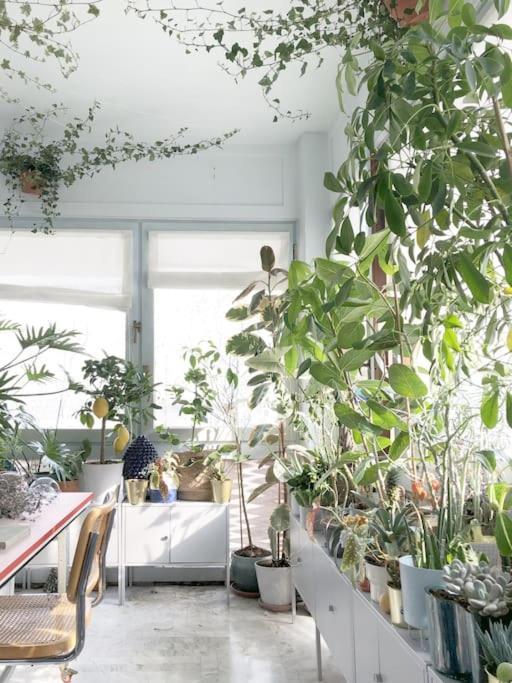 Green House